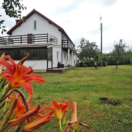Spacious Modern Flat In Dabrowa, Cleaning Included * Gostyn (Kamien)